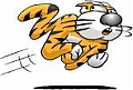 Jeepcats's Avatar