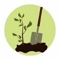 digsdirt's Avatar