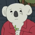 Koala Doug's Avatar